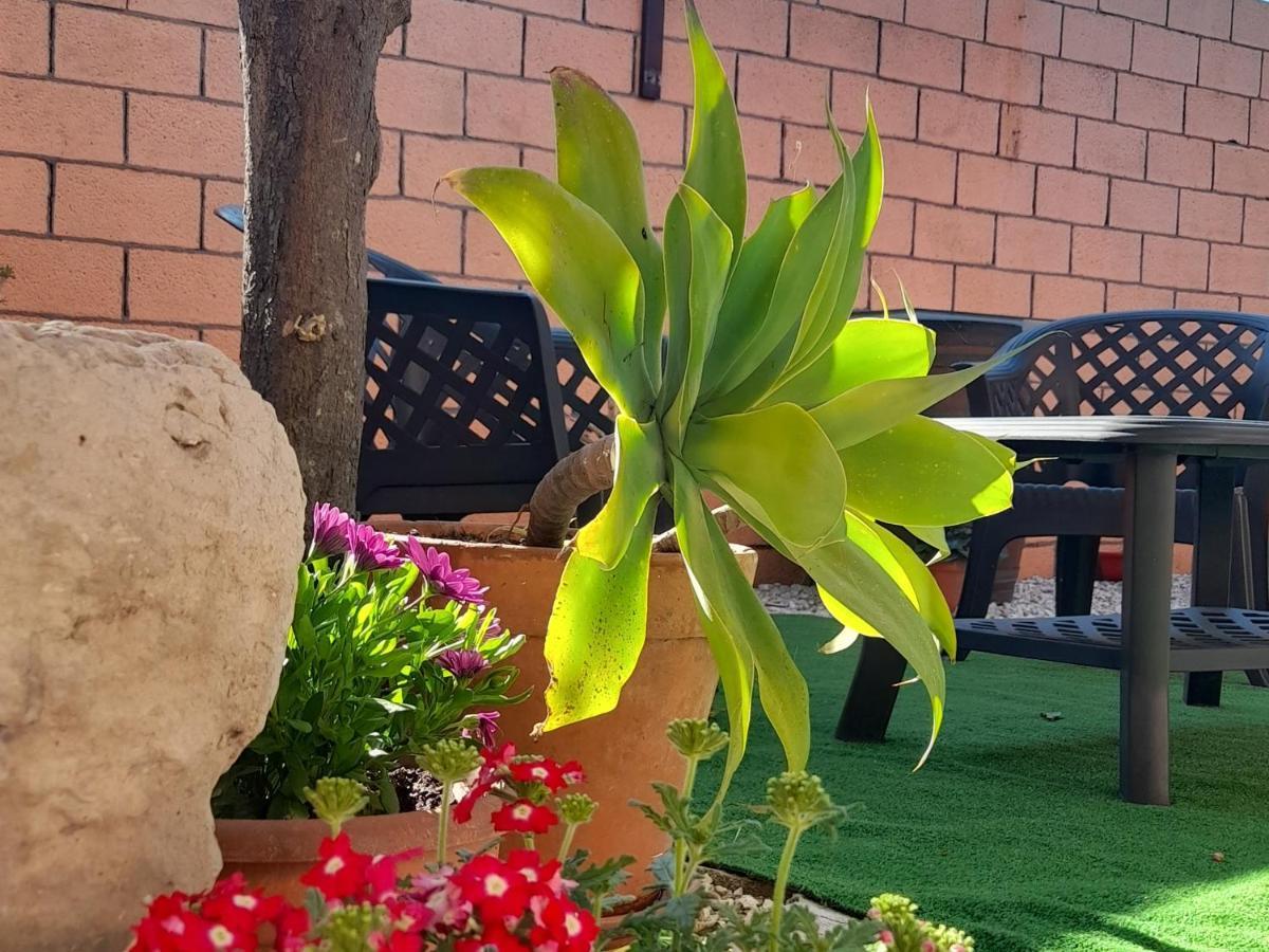 Su Fassoi Cabras Bed & Breakfast Exterior photo